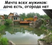 13968151.webp