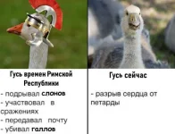 13974002.webp