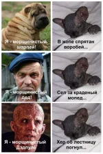 13975877.webp