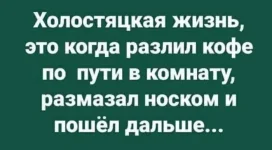13981882.webp