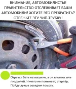 13981979.webp