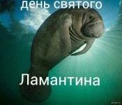 FB_IMG_1581687177624.webp