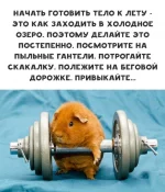 14000757.webp