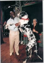 1282832989_giant_dogs_10.webp