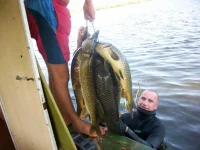 100_7092.webp