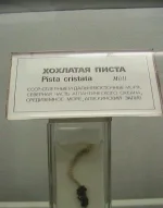 fotopodborka_ponedelnika_126_foto_6.webp