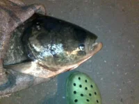 22092010115.webp