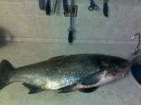22092010117.webp