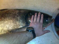 22092010122.webp