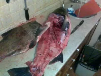 22092010123.webp