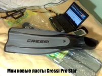 мои Крыськи.webp