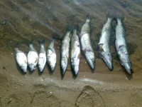 26092010233.webp