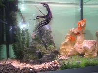 P9280262.webp