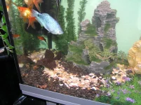PA010313.webp