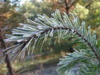 IMG_3621u.webp
