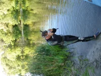 DSC01453.webp