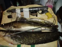 PA084070.webp