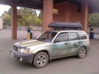 P021010_11.39.webp