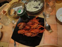 DSC01502.webp
