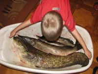 2010_IMG_3581_новый размер.webp