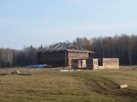 PA250165.webp