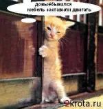 1235365288_img_2613161_98_0.webp