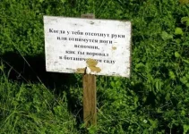 fotopodborka_chetverga_117_foto_104.webp