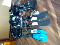 31102010259.webp