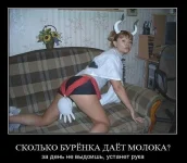 молоко.webp