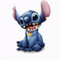Stich2008