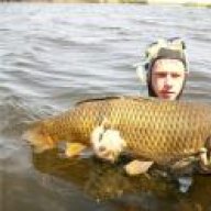 Sergunetc