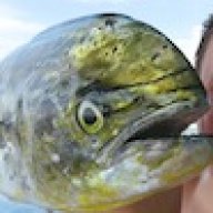 Lastonogiy