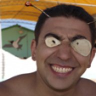 david