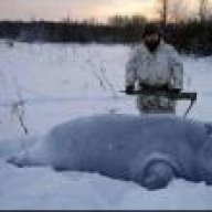 Брют
