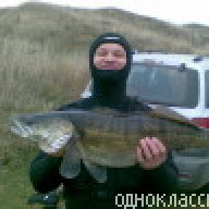 vladlav