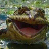 makar