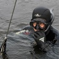 dvm-k