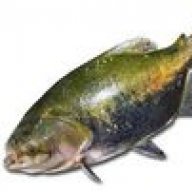 tambaki
