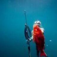 superfish4444