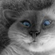 Alnedin