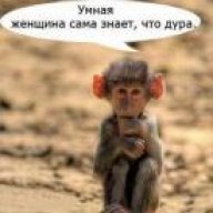 vladimir*fokin