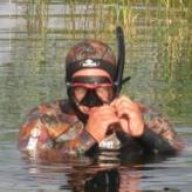 wildperch