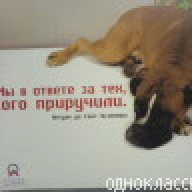 Сатурий