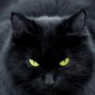 CatStyle