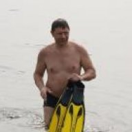 Палыч
