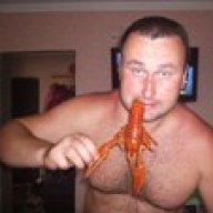 alexeyd