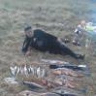 iahin2011
