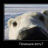 Евгений33