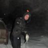 безумныймакс