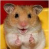 Хомяк